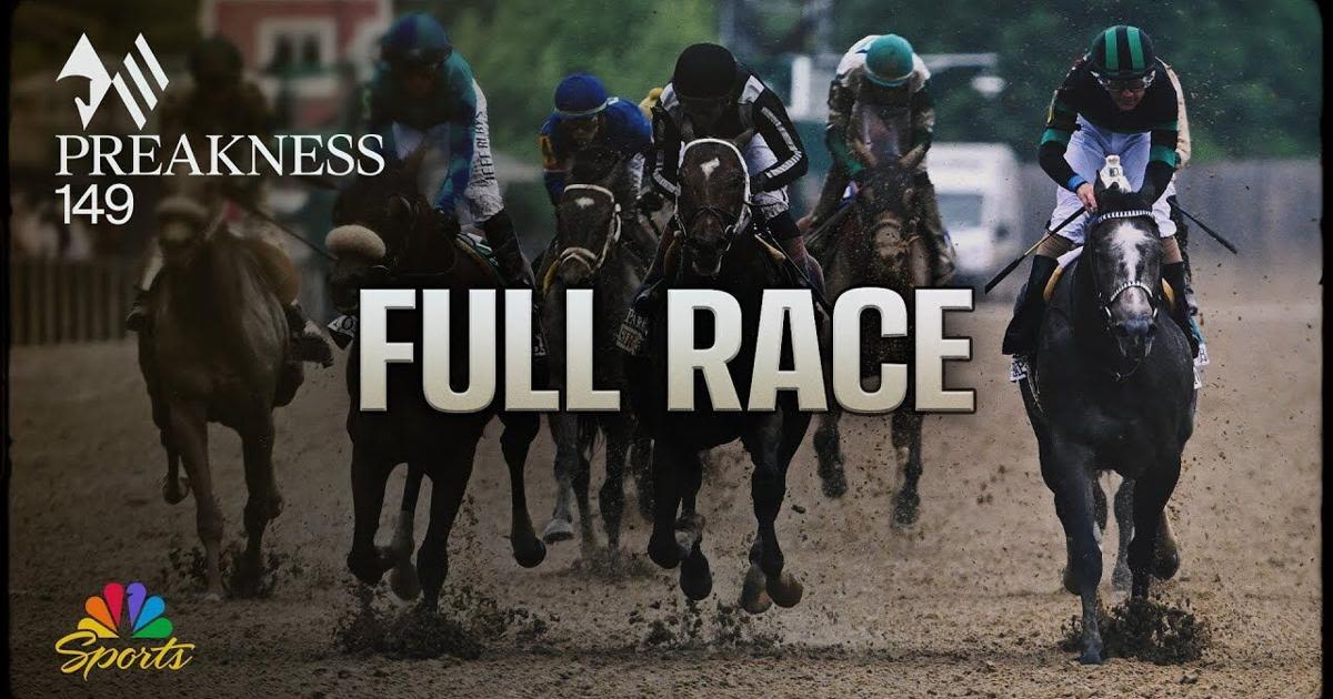 Preakness champ Seize the Grey likely to run at Belmont
