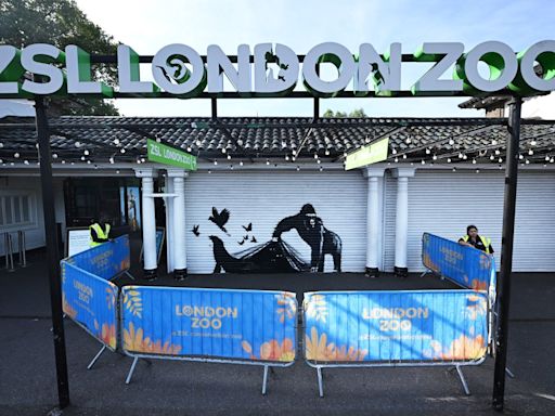 Banksy unveils ninth animal artwork at London Zoo