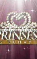 Prinsesa ng Buhay Ko