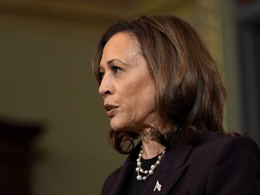 Harris tries to thread the needle on Gaza after meeting with Netanyahu