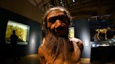 New study reveals why Europeans have less Neanderthal DNA than East Asians