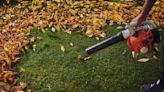 The 12 Best Leaf Blowers To Keep Your Yard in Pristine Condition
