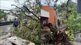 Reportan en CDMX encharcamientos y árboles caídos por lluvias