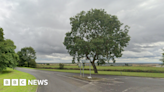 Three escape as light aircraft crashes in Octon