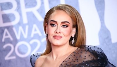 VIDEO: Adele arremete contra un espectador homófobo en pleno concierto de Las Vegas - El Diario NY