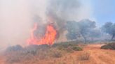 Los bomberos dan por extinguido el incendio forestal declarado en Ronda