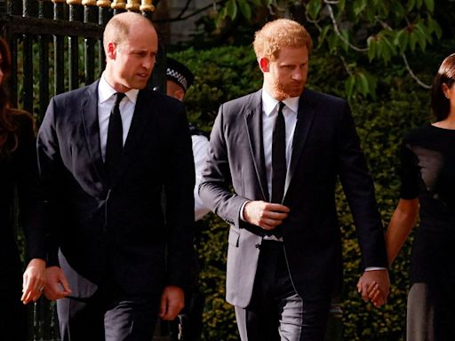 Prince William ‘warned’ Harry about Meghan Markle after Kate Middleton entered ‘goldfish bowl’ of Royal Family: Expert | Today News