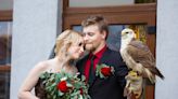 Couples Are Now Opting for Falcons as Ring Bearers Instead of Toddlers