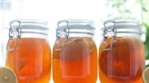 Kombucha’s Microbial Magic: New Study Shows Fat-Busting Effects