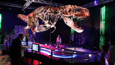 One of the world’s largest T. rex skeletons just landed in Melbourne