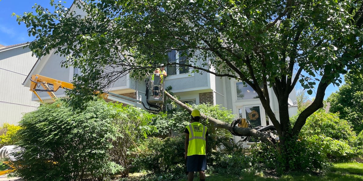 Tree removal crews have work cut out for them with fallen trees on homes, cars in Johnson County