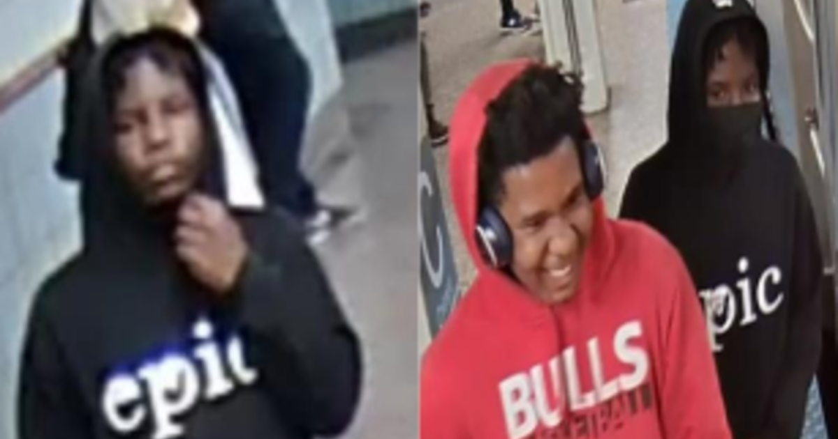 Police seek to identify 2 suspects in robbery on Chicago train