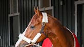 Kentucky Derby winner Mage set as 8-5 morning line favorite for Preakness