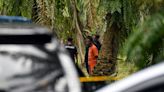 Oil palm plantation likely scene of Nur Farah Kartini’s murder, says Selangor police chief