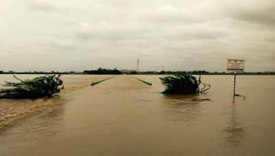 Nearly 100 acres inundated and standing crops damaged in Yadgir district