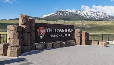 Yellowstone park rangers shoot, kill armed person