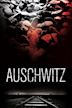 Auschwitz (film)