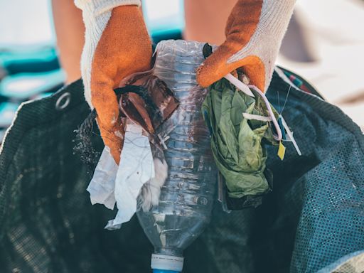 Plastic bag litter falls by 80% on beaches over a decade, seaside clean-ups show