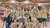 STVM boys volleyball state bound - Akron.com