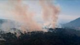 Reportan 10 incendios forestales activos en Michoacán