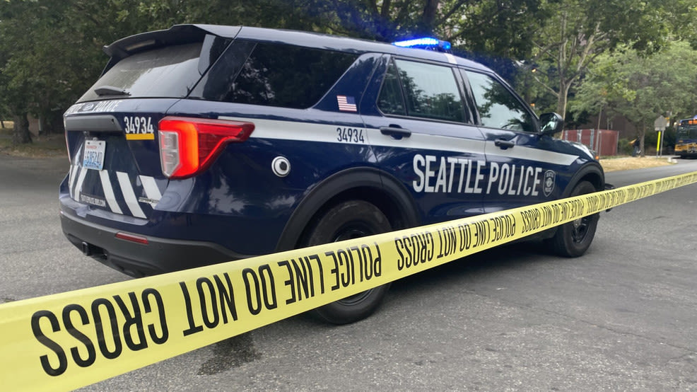 Police investigate early morning homicide in south Seattle