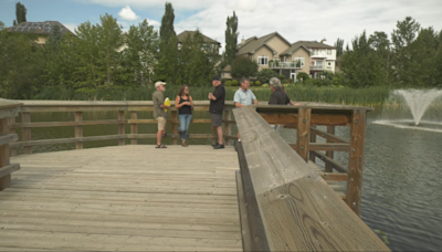 Residents raise concerns over use of chemical in stormwater ponds to combat invasive goldfish