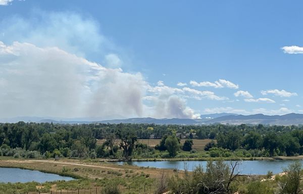 Bird ignites fire in Colorado after it hits power lines, gets electrocuted: 'It happens'