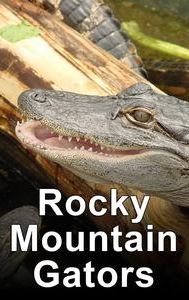 Rocky Mountain Gators