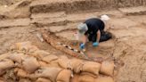 Israeli archaeologists dig up large tusk of ancient elephant