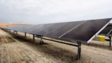 First Solar, Qcells to be US government's preferred green-label panel vendors