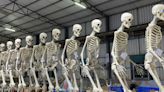 Home Depot's Gigantic Skelton 'Skelly' Is Already Sold Out | Entrepreneur