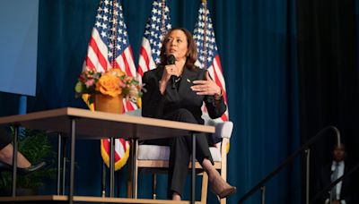 A 'singular candidate': Michiganders contemplate Kamala Harris in a key swing state