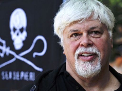 Arrestation de Paul Watson : Pourquoi le Japon veut-il la peau du militant écologiste et fondateur de Sea Shepherd ?