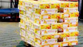 822 tonnes of mango exported to 60 international destinations from KIA Bengaluru