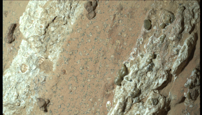 This Mars rock could show evidence of life. Here's what Perseverance rover found.