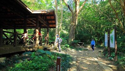 尾寮山登山步道已重新開放 北大武山步道9/15開放