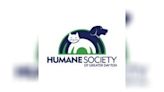 Humane Society of Greater Dayton offers community cat houses for winter