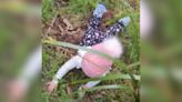 Little Girl's Reaction To Falling Off Slide Is Unexpectedly Adorable