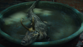 The Emotional Support Alligator That Allegedly Inspired 'Alligator Loki' Has Gone Missing
