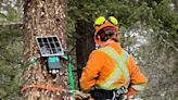 Vernon home to Canada's 1st resort equipped with AI wildfire detection