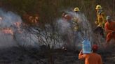 Feroz incendio en Córdoba: cuatro bomberos sufrieron quemaduras mientras combatían el fuego | Sociedad