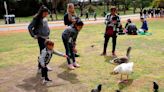 Una semana casi primaveral: cómo estará el tiempo en la Ciudad de Buenos Aires y alrededores