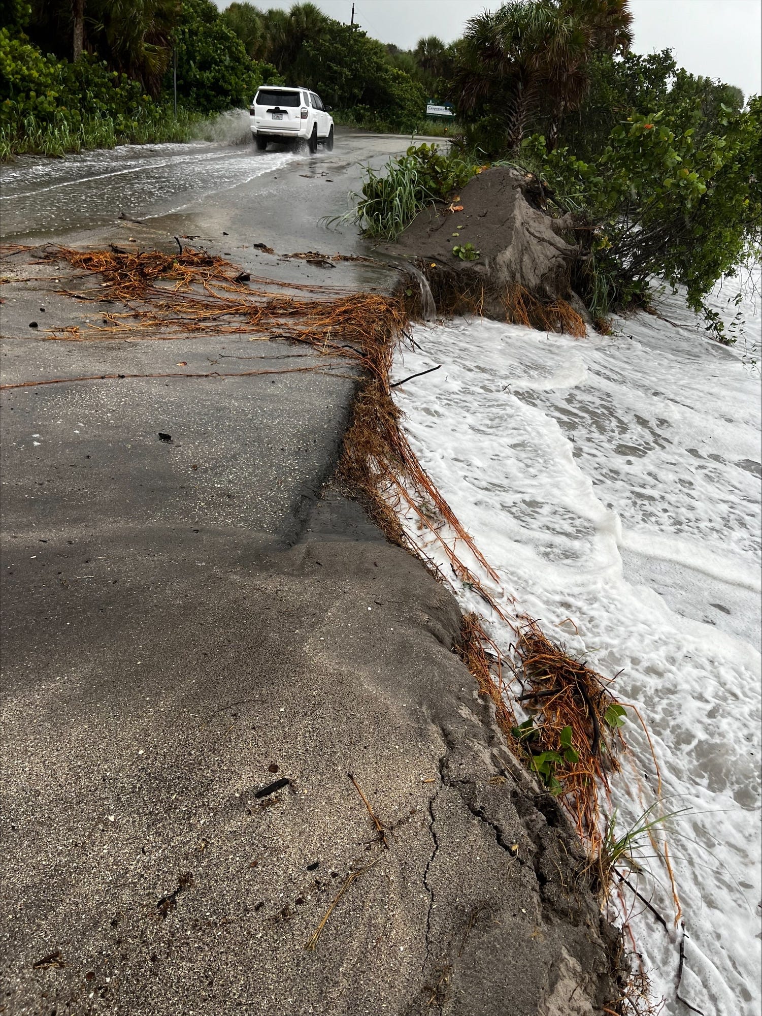 Hurricane Debby photos of damage and flooding in Florida: City by city