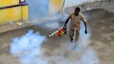 Summer showers trigger vigil against dengue in Coimbatore district