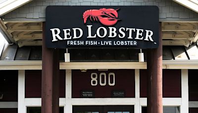 It wasn't the endless shrimp that doomed Red Lobster. How private equity pinched the seafood chain.