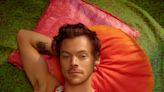 Harry Styles Talks About Keeping Sexuality and Relationships Private: 'I Just Wanted to Sing'