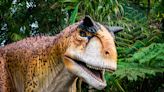Dinosaurs are coming back to the zoo this summer