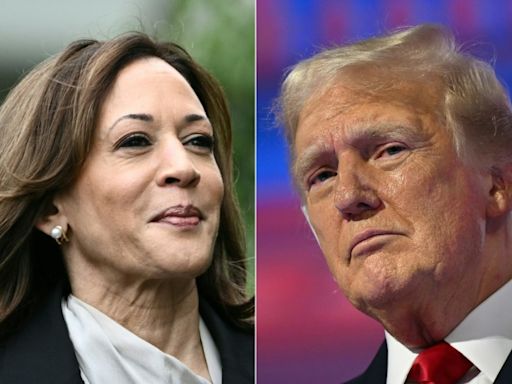 "Procureure" contre "criminel": la campagne de Kamala Harris est lancée