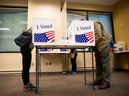 A guide to the competitive races on the Virginia primary election ballot