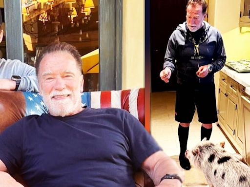 Chris Pratt Shares Sweet Birthday Tribute to Father-in-Law Arnold Schwarzenegger Featuring Pet Pig